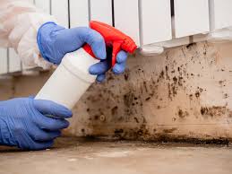 Goreville, IL Mold Removal & Remediation Company